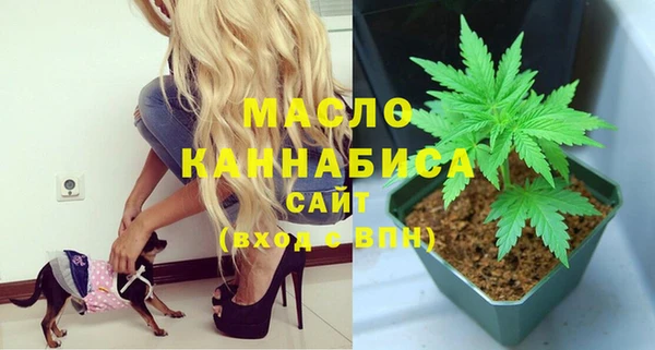 прущие грибы Белокуриха