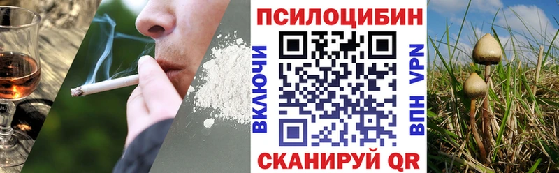 Галлюциногенные грибы ЛСД сколько стоит Бутурлиновка